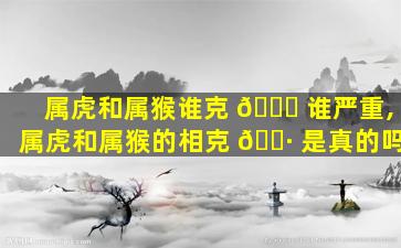 属虎和属猴谁克 🐋 谁严重,属虎和属猴的相克 🌷 是真的吗